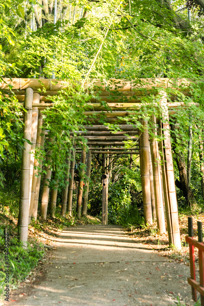 Bamboo Arch