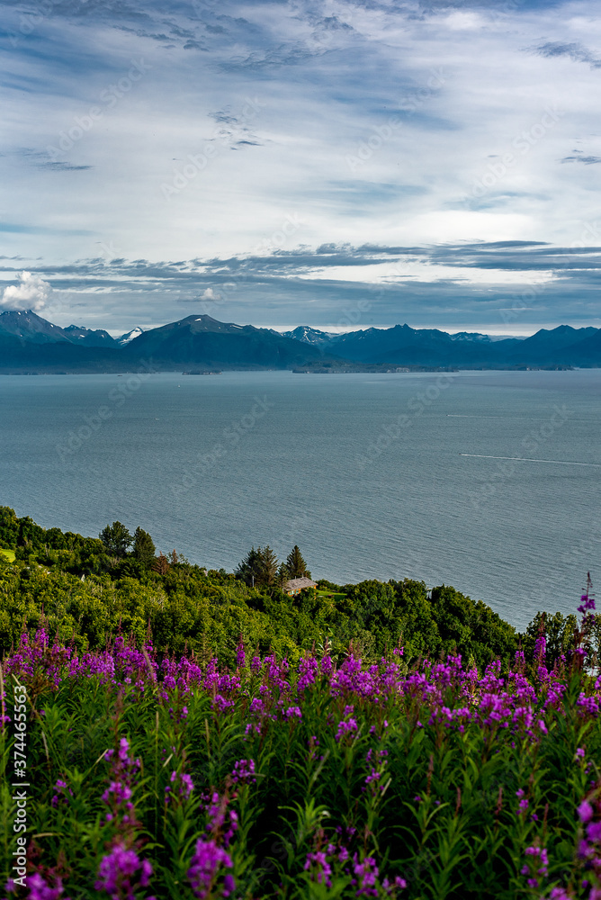 Obraz premium lake and mountains