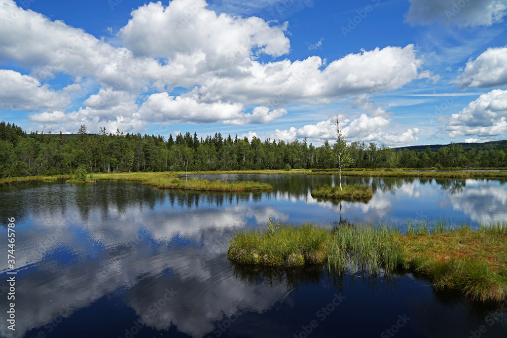 Beautiful mirroring peat bog lake with single birch on island in Sumava mountains national park on sunny summer day, Chalupska slat, Czech Republic
