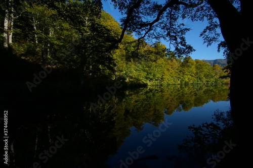 Mountain Lake in Early Autumn Sunlight, Nagano, Japan