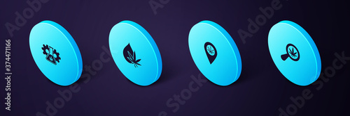 Set Isometric Magnifying glass and marijuana, Location, Marijuana or cannabis leaf oil and Test tube with icon. Vector.