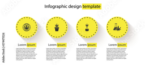 Set Legalize marijuana, Marijuana plant in pot, Test tube with and . Business infographic template. Vector.