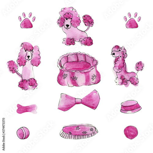 Pink poodle set dog animal isolated object on white background. For party design, print on fabric and paper