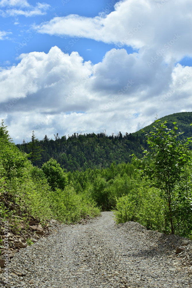 Light gravel road with trees. Green hills, blue sky with white clouds. Bright sunny summer day. Light gravel road with trees. Green hills, blue sky with white clouds. Bright sunny summer day.