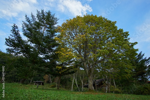 Beautiful natural landscape in countryside of Japan between summer and Autumn