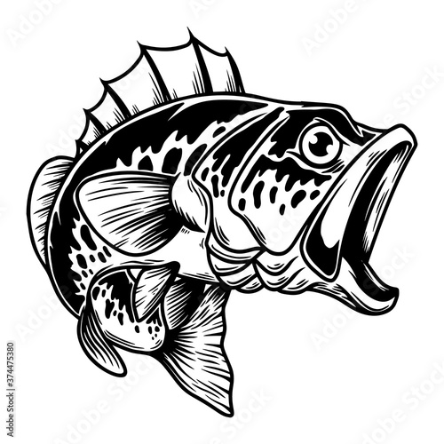 Illustration of bass fish. Big perch. Perch fishing. Design element for logo, emblem, sign, poster, card, banner. Vector illustration