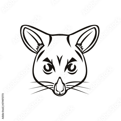 Head of Common Brushtail Possum Trichosurus Vulpecula Semi-Arboreal Marsupial Mascot Black and White