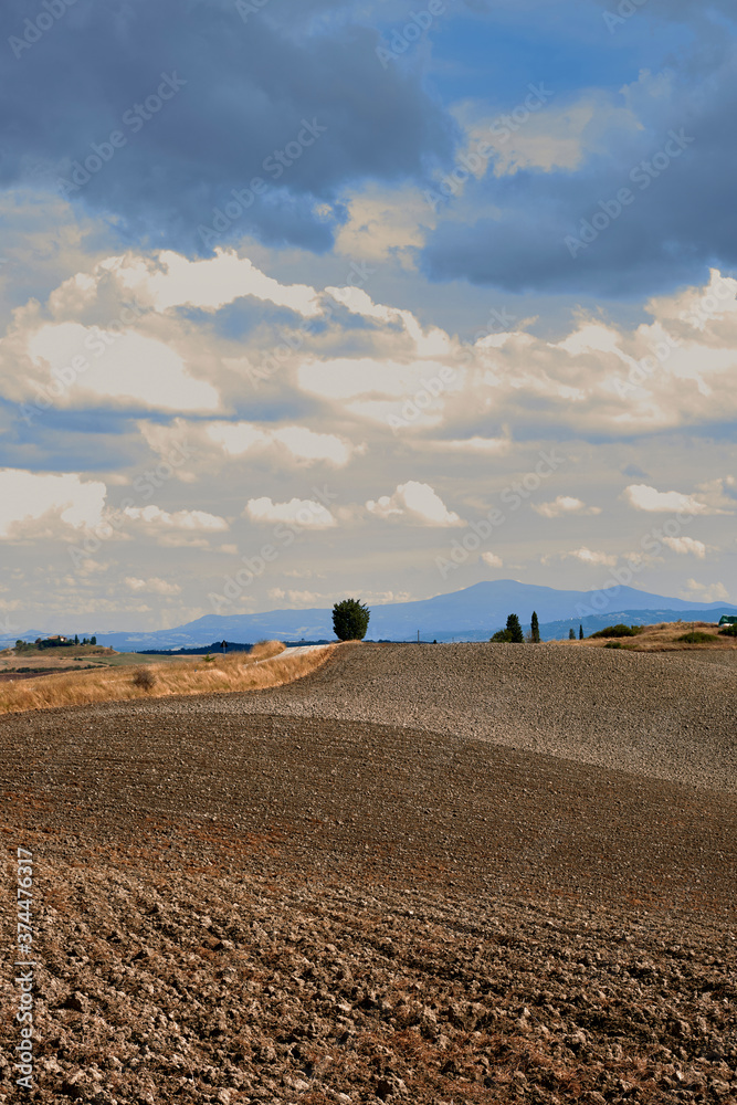 Obraz premium tuscany