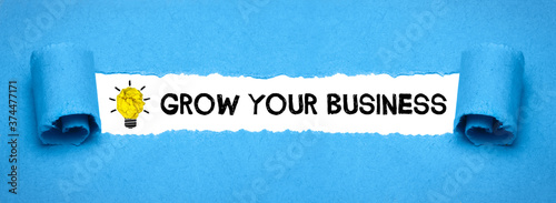 Quadro su tela Grow your Business
