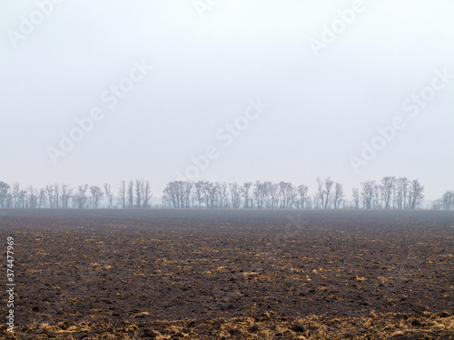 Minimalism, field, trees on horizon. Rural landscape on rainy day. Farmlands on cloudy autumn day.