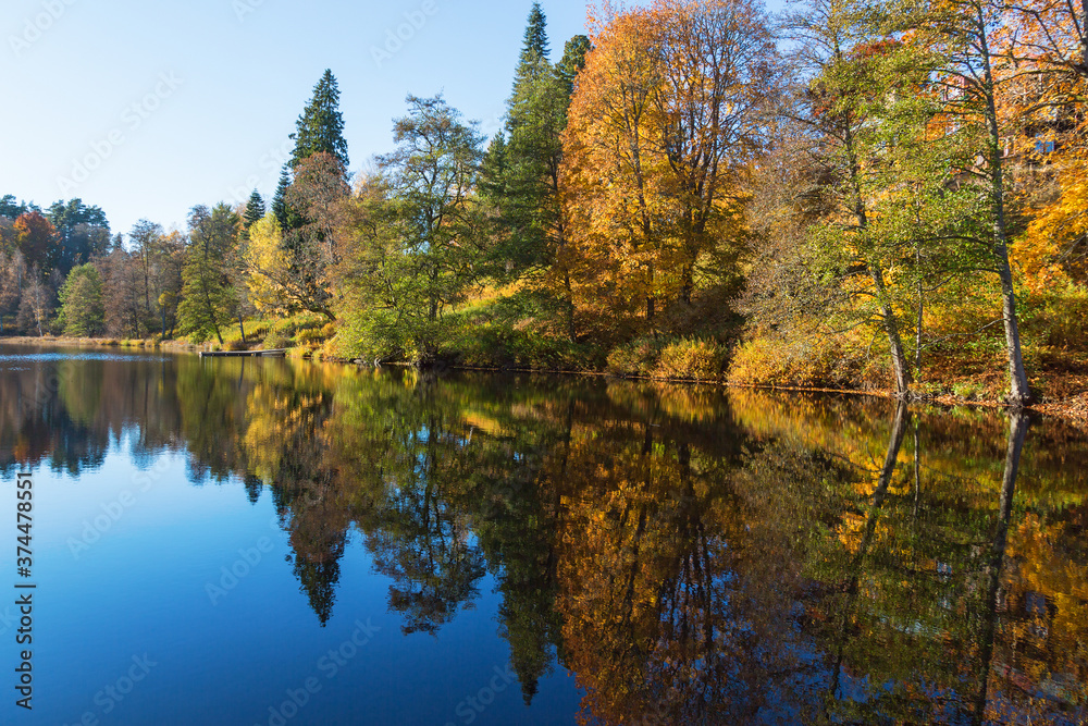 View of a forest lake in autumn View of a forest lake in autumn
