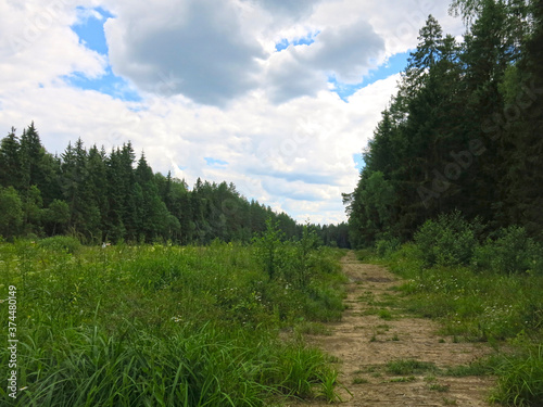 cozy forest road made of old logs in summer in Sunny weather