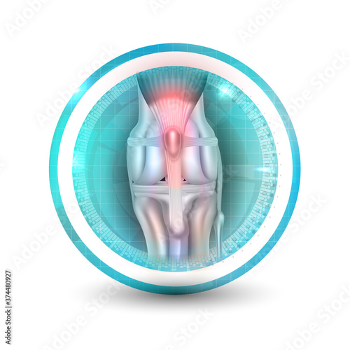 Anatomy of the canine (dog's) knee joint colorful symbol, icon design, healthy joint round icon on a white background.