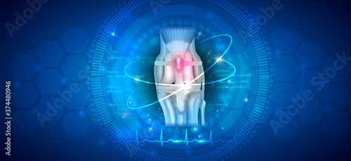 Anatomy of the healthy canine (dog's) knee joint health care concept design on an abstract blue scientific background.
