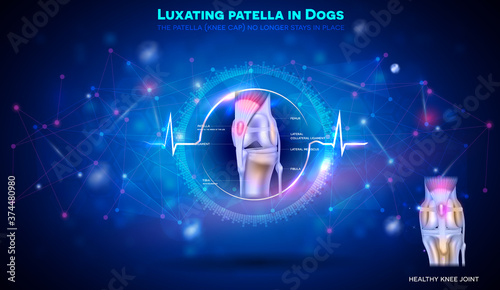 Luxating patella in dogs on an abstract scientific background with cardiogram symbol as a treatment and health symbol.