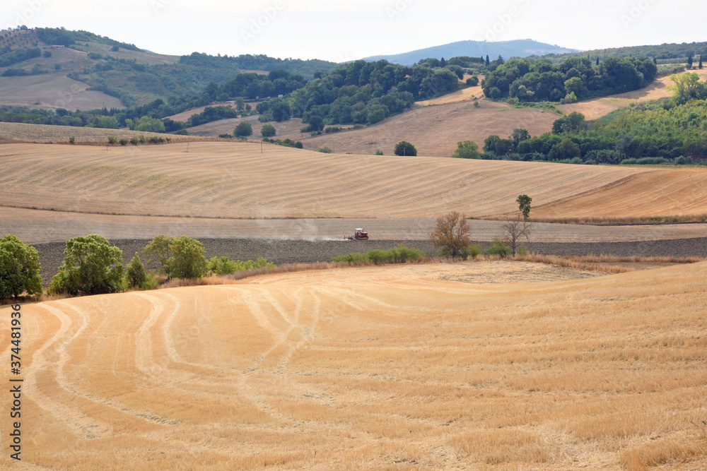 Fototapeta premium Tuscany landscape, the countryside of Maremma, Saturnia
