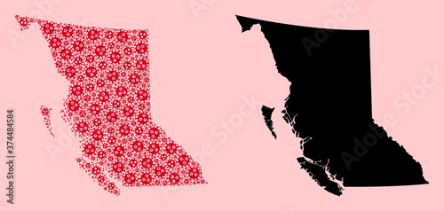 Vector Mosaic Map of British Columbia Province of Viral Items and Solid Map