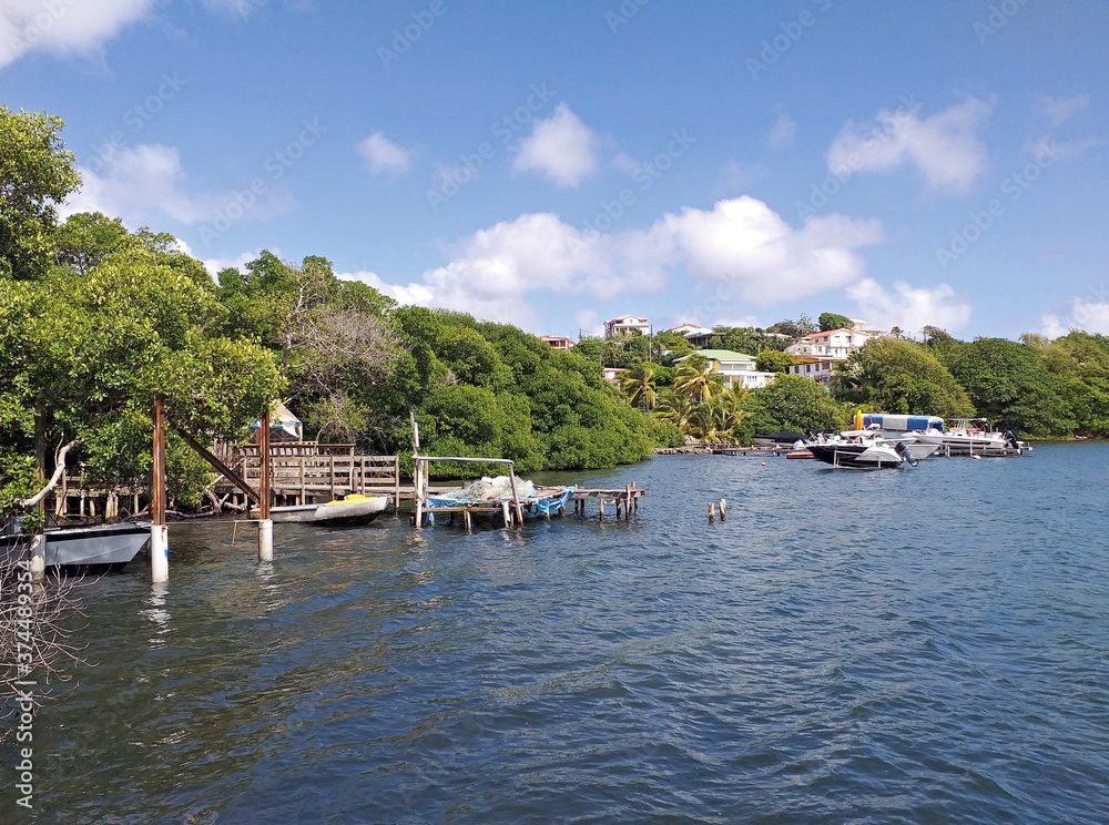 Fototapeta premium Caribbean coastline with rustic piers, colonial houses and littoral vegetation of the Caribbean Sea under blue sky with white clouds. French Antilles. Vegetation near the sea and tropical nature.