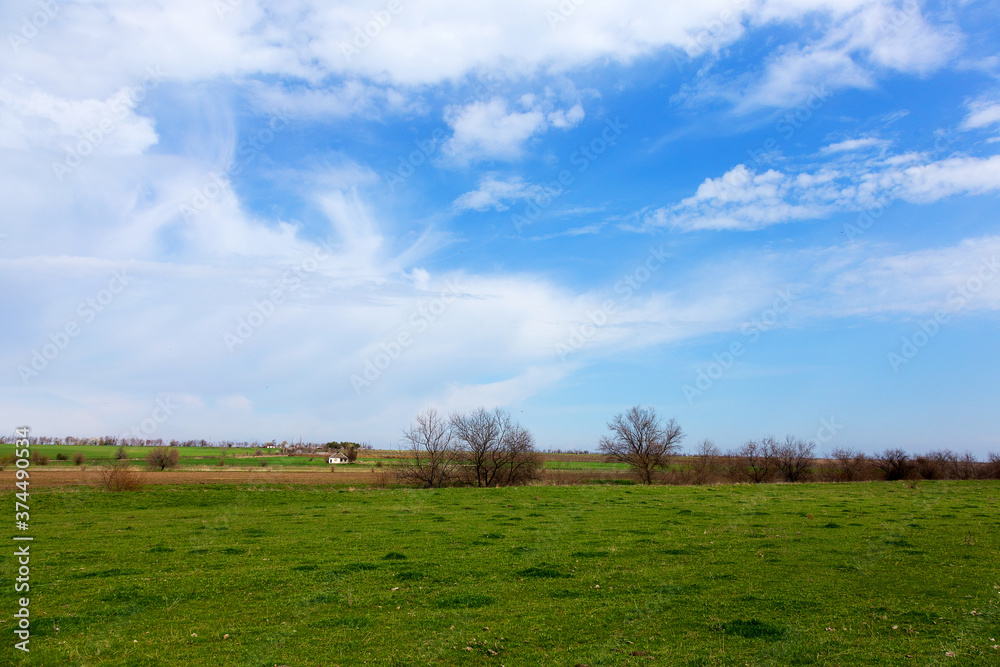 Rural landscape, panorama, village, margins, spring, summer. Minimalism.