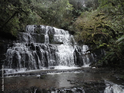 waterfall in the forest