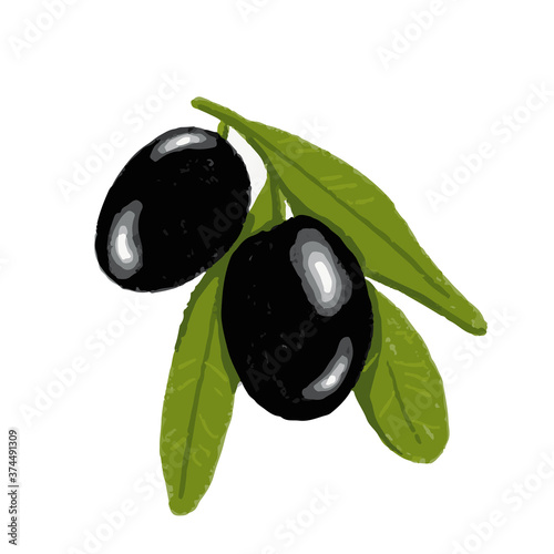 Olive tree branch with green leaves and black olives