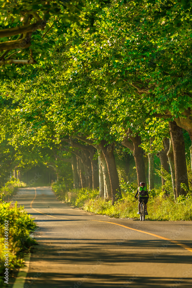 A person riding a bicycle on the old road