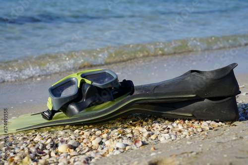 snorkeling mask and fins lie on the seashore