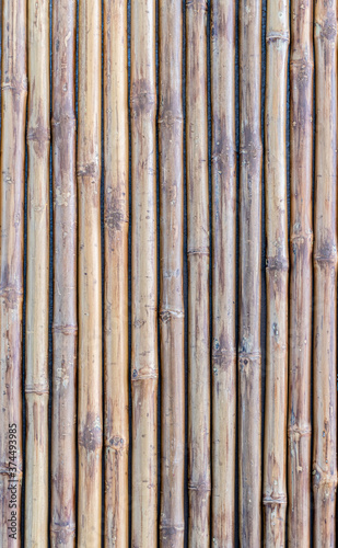 Bamboo wall Texture Background