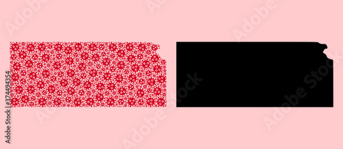 Vector Mosaic Map of Kansas State of Outbreak Particles and Solid Map