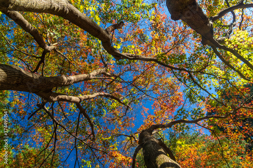 Beautiful Mountain Lu geopark landscapes in late autumn, Jiujiang, Jiangxi, China