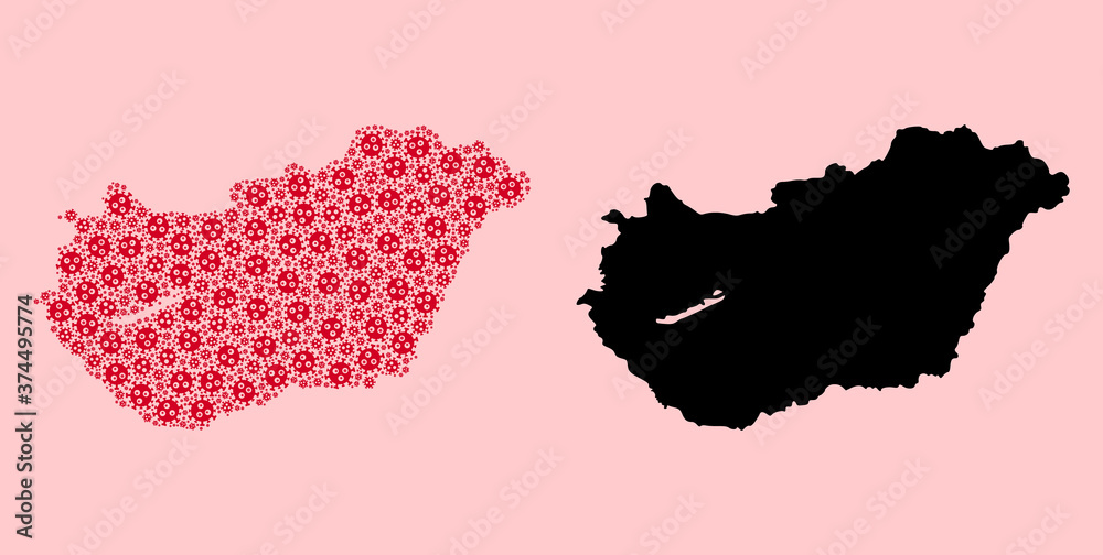 Vector Collage Map of Hungary of Viral Particles and Solid Map