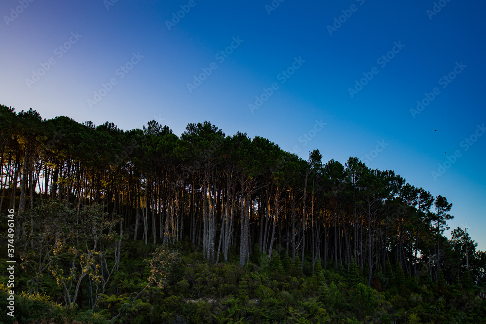 Fototapeta premium sunset in the mountains