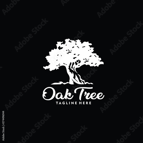 oak tree logo design template silhouette vector