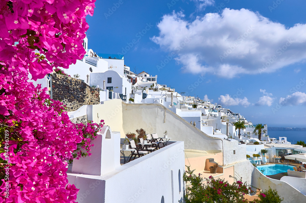 Fototapeta premium Fira views across bougainvillea flowes in Santorini