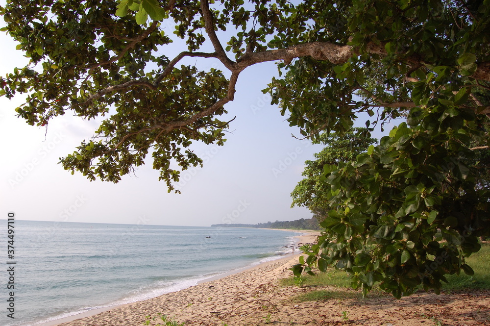 東南アジアのマレーシアにあるデサルビーチの美しい海と熱帯樹木