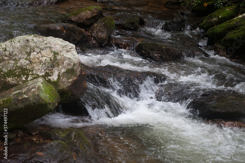 Cascading stream in nature