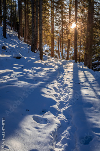 Sunset and sunbeam in snowy...