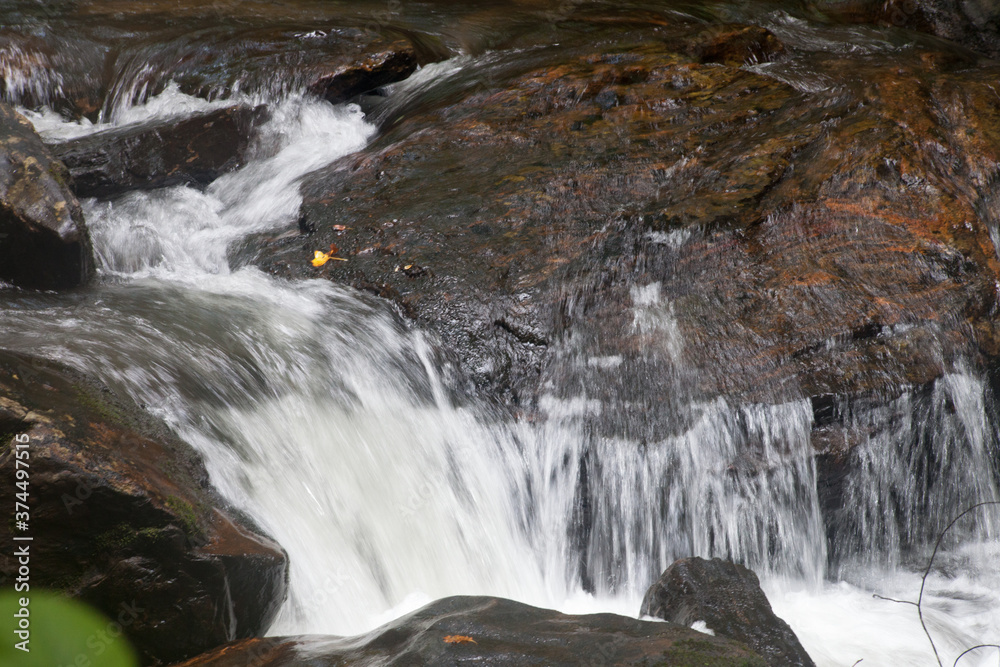 Fototapeta premium Cascading stream in nature