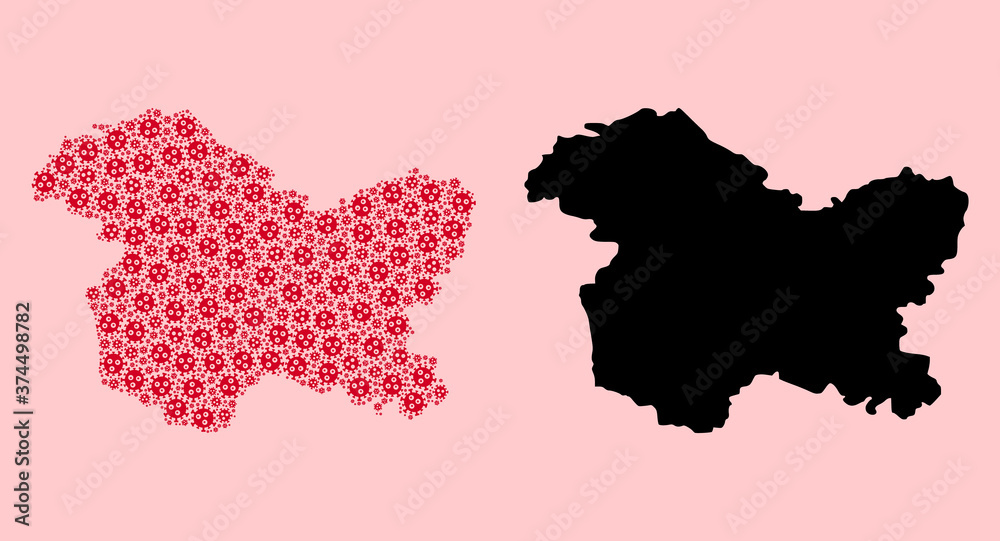 Vector Mosaic Map of Jammu and Kashmir State of Flu Virus Items and Solid Map