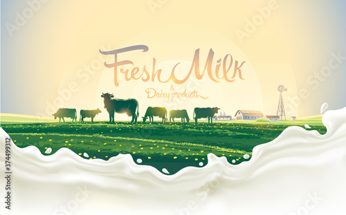 Summer rural landscape with a herd of cows and a farm, against the dawn sky, with thematic inscription and splach milk.