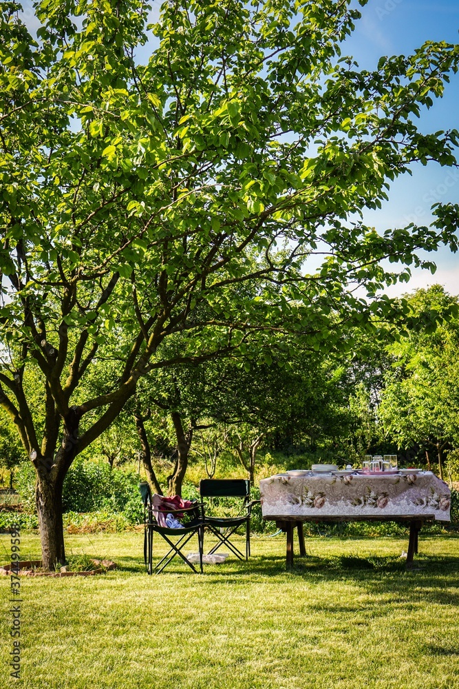 Picnic time at begining of the spring Picnic time at begining of the spring