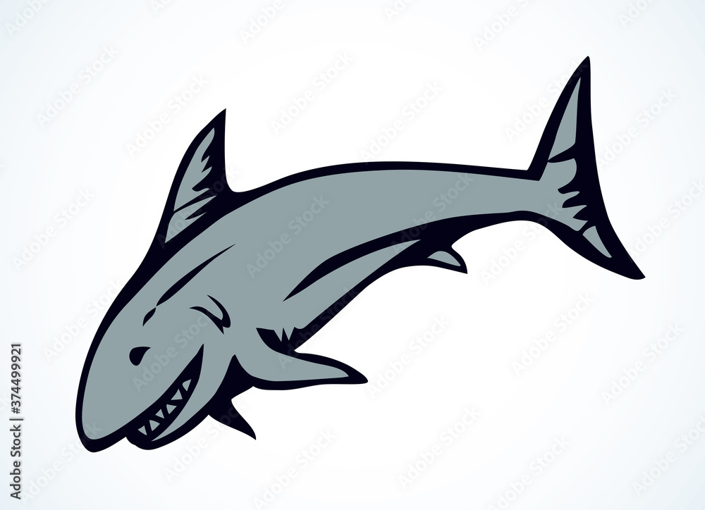 Fototapeta premium Great gray shark. Vector drawing