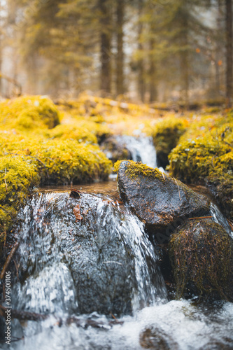 Foto petit ruisseau de montagne en hiver, eau de source