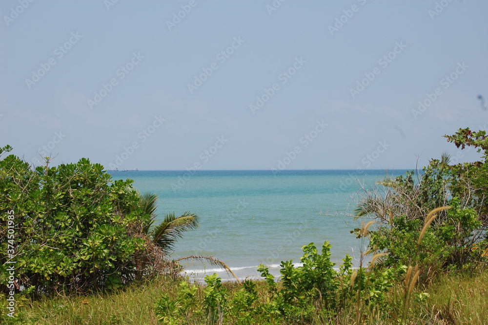 熱帯の日常的な何気ない樹木の豊かな海岸線と青い海