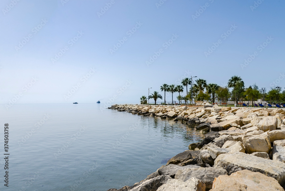 Sea landscape with palm trees