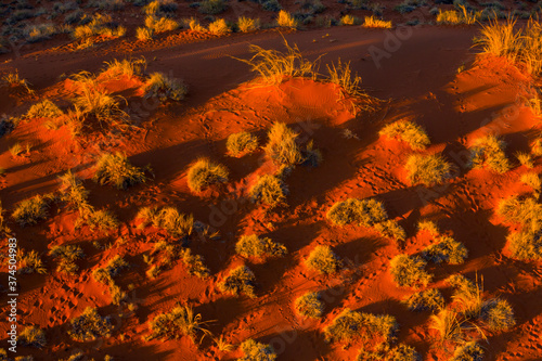 Namib-Naukluft National Park  Namibia  Africa