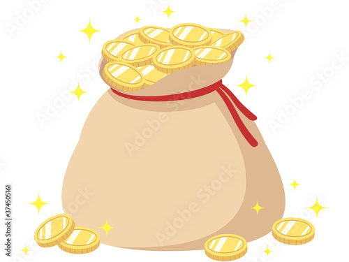 金貨が入った袋（無地）