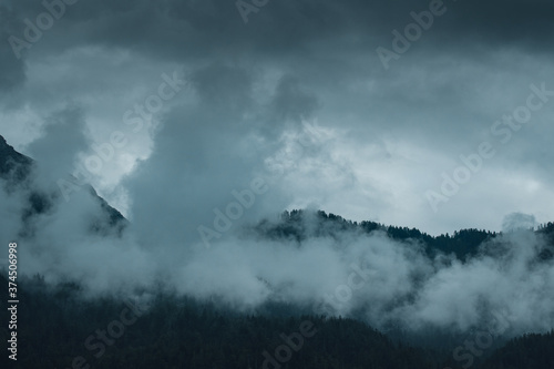 Mountain pine tree silhouettes in the fog of the clouds in the alpine mountains. Austrian Alps, Salzkammergut in Austria, Europe