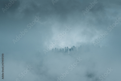 Mountain pine tree silhouettes in the fog of the clouds in the alpine mountains. Austrian Alps, Salzkammergut in Austria, Europe