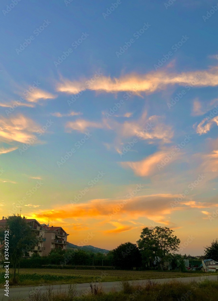 sunset over the field